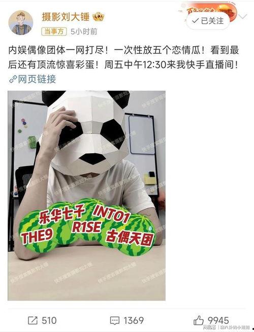 大锤爆料预告最新消息视频,最新消息视频揭秘，精彩内容抢先看！